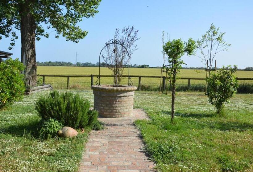 Bed and Breakfast Corte Spina