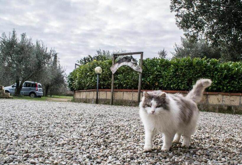 تختخواب و صبحانه Maremma Nel Tufo