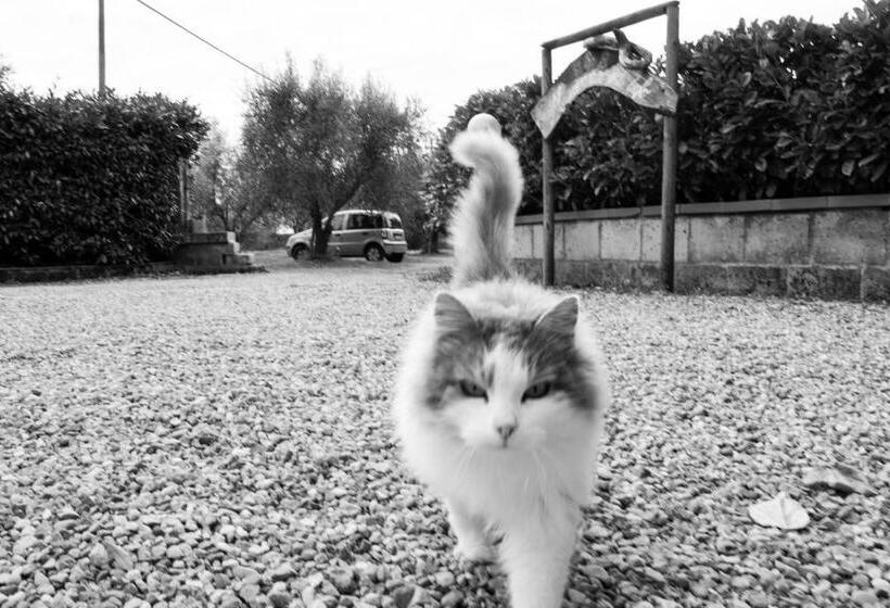 تختخواب و صبحانه Maremma Nel Tufo