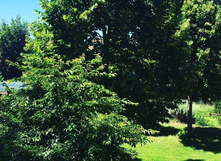 צימר La Fratta Art  House