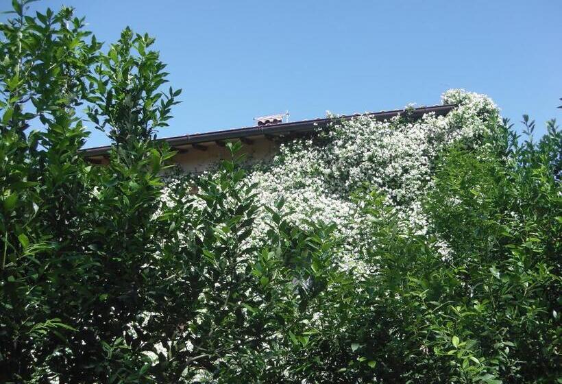 צימר La Fratta Art  House