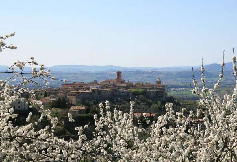 Bed and Breakfast La Piazzetta