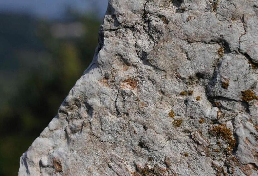 민박 Locanda Da Bepi