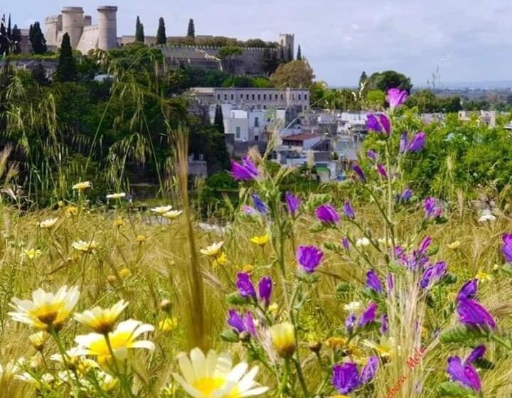 住宿加早餐  Messapia