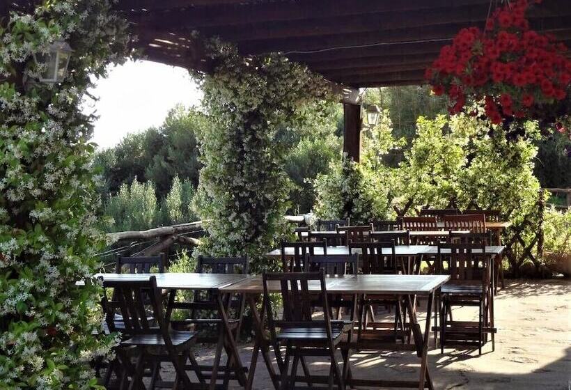 Bed and Breakfast Villa Agnese