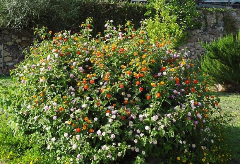 Bed and Breakfast Villa Agnese