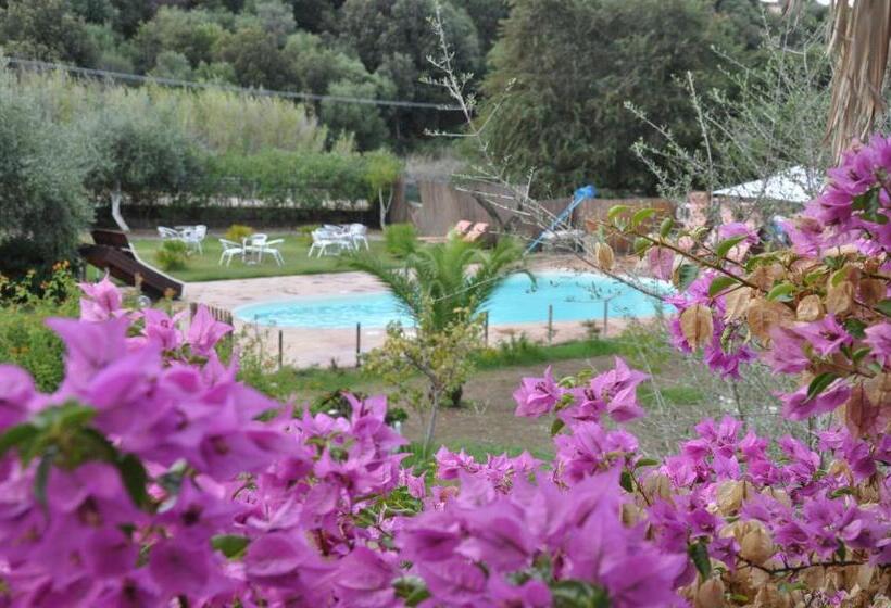 Bed and Breakfast Villa Agnese