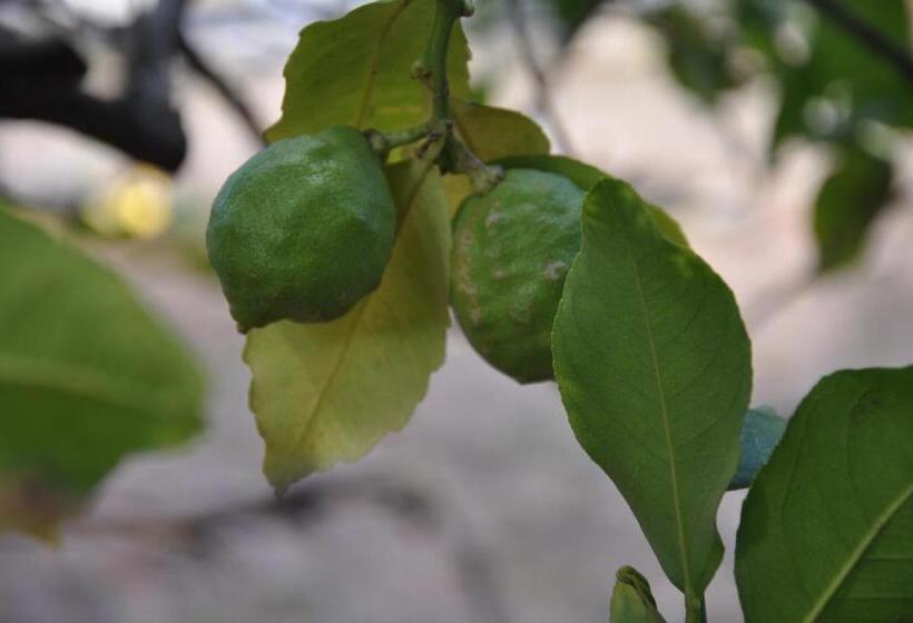 Bed and Breakfast Villa Agnese