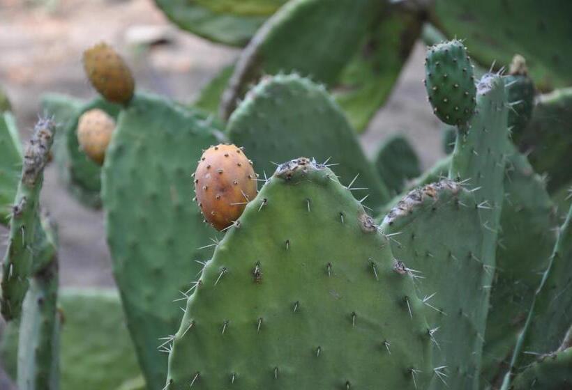 Bed and Breakfast Villa Agnese