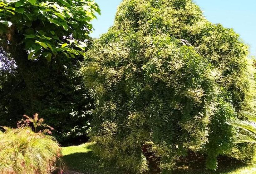 مبيت وإفطار Villa Laura