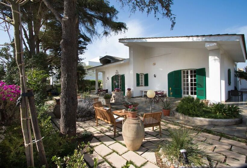 مبيت وإفطار Villa Quattro Pini