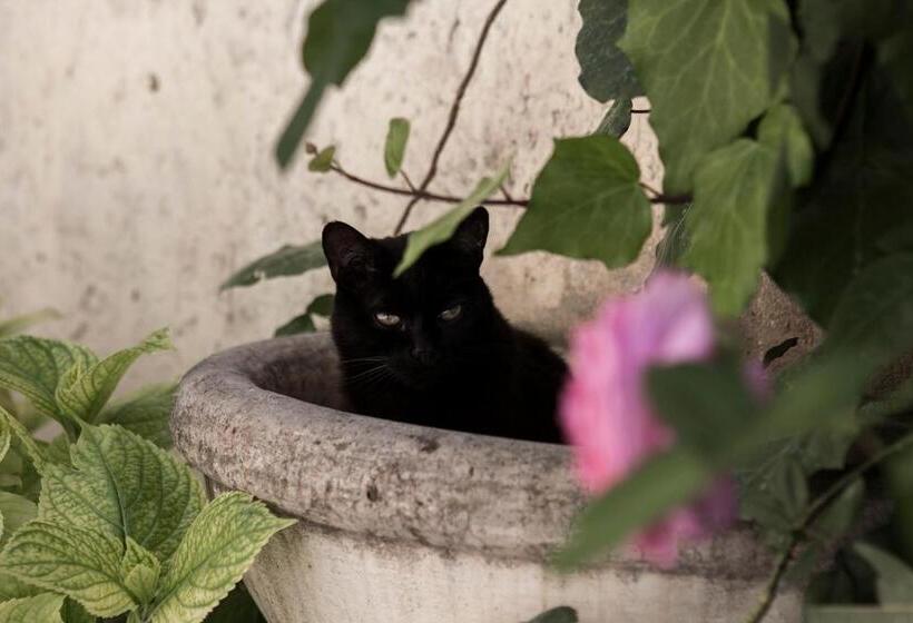 Bed and Breakfast Villino Di Porporano