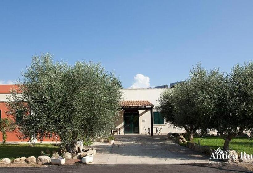 בית מלון כפרי Antica Rudiae Ricevimenti
