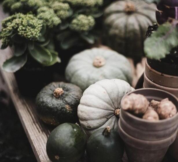 호텔 Appartements Graf Hartwig