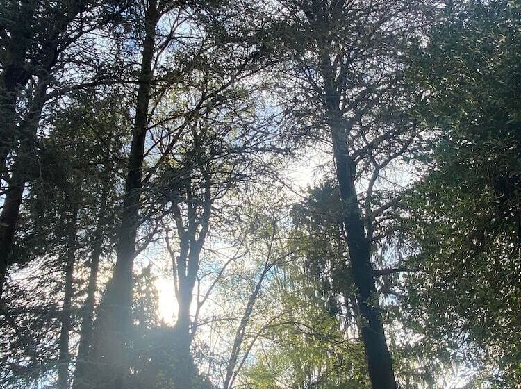 فندق Cà Lazzaroni