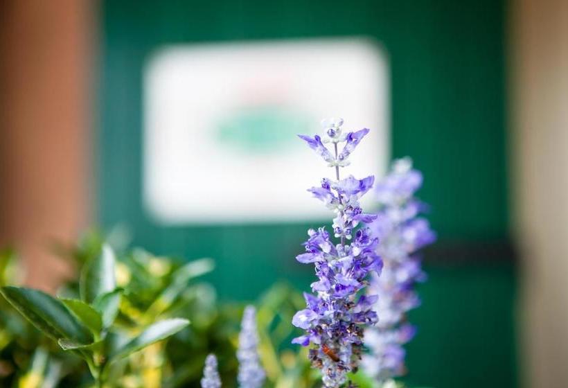 בית מלון כפרי Callalta