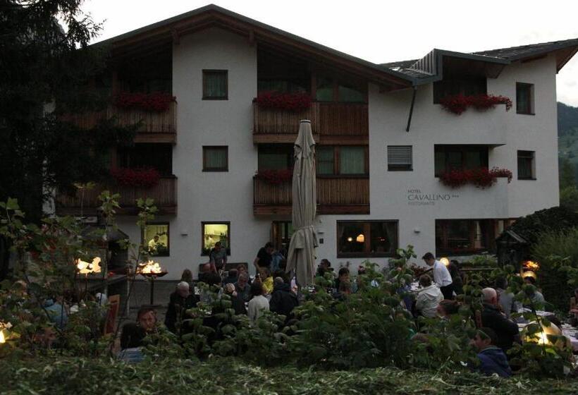 בית מלון כפרי Cavallino