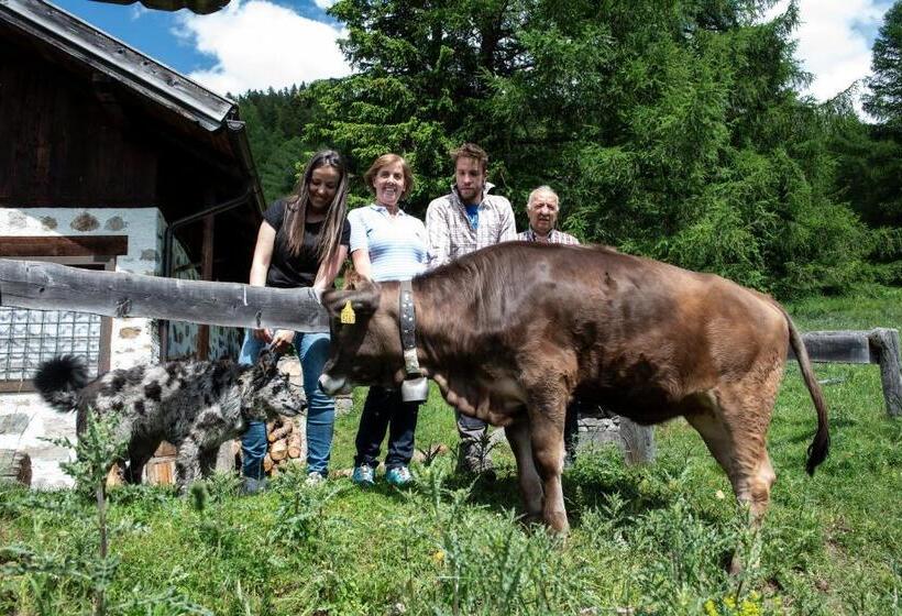 فندق Chalet Genziana