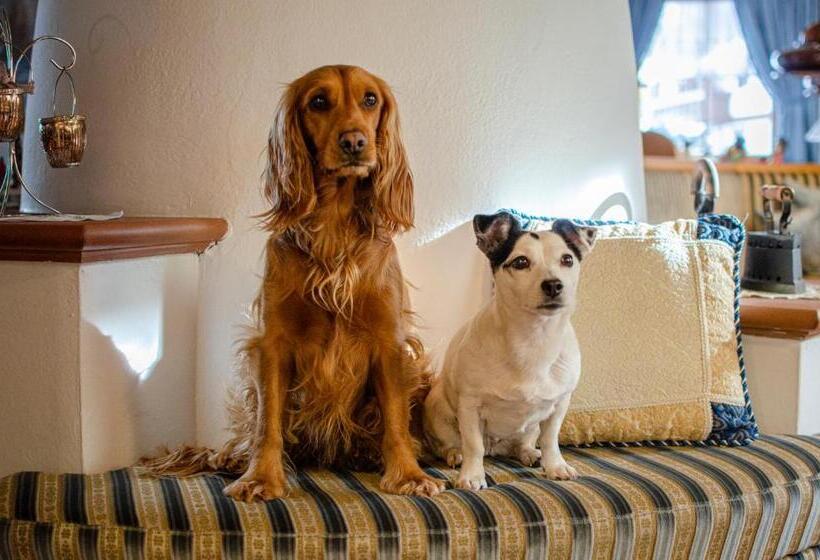 בית מלון כפרי Ciampian