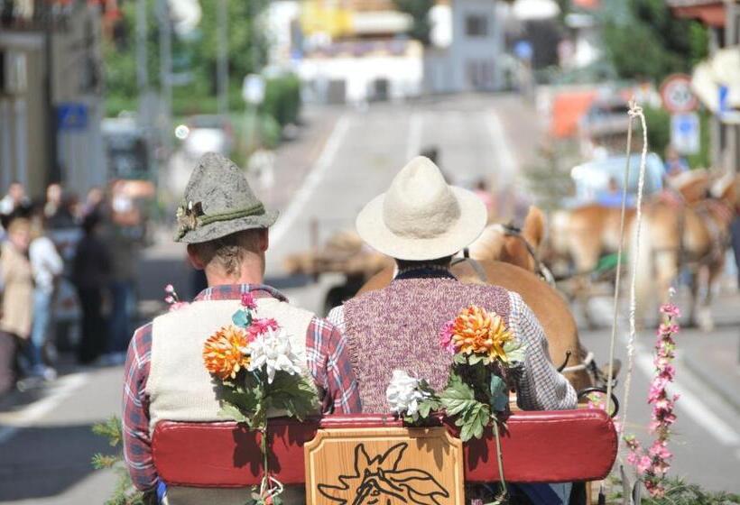 فندق Cimon Dolomites