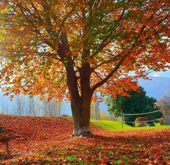 בית מלון כפרי Del Fiume