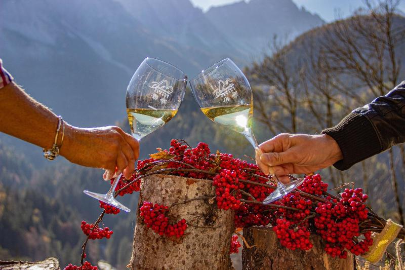 فندق Dolomiti Lodge Villa Gaia