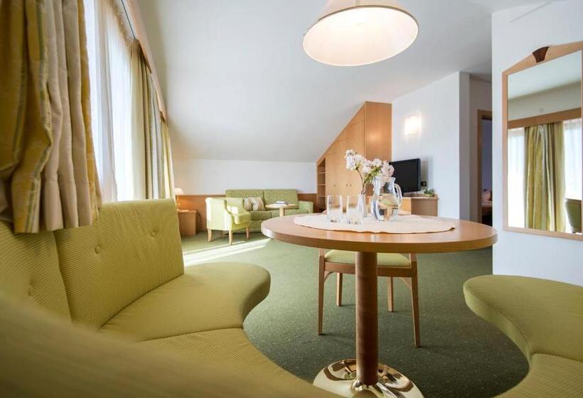 Отель Erzherzog Johann