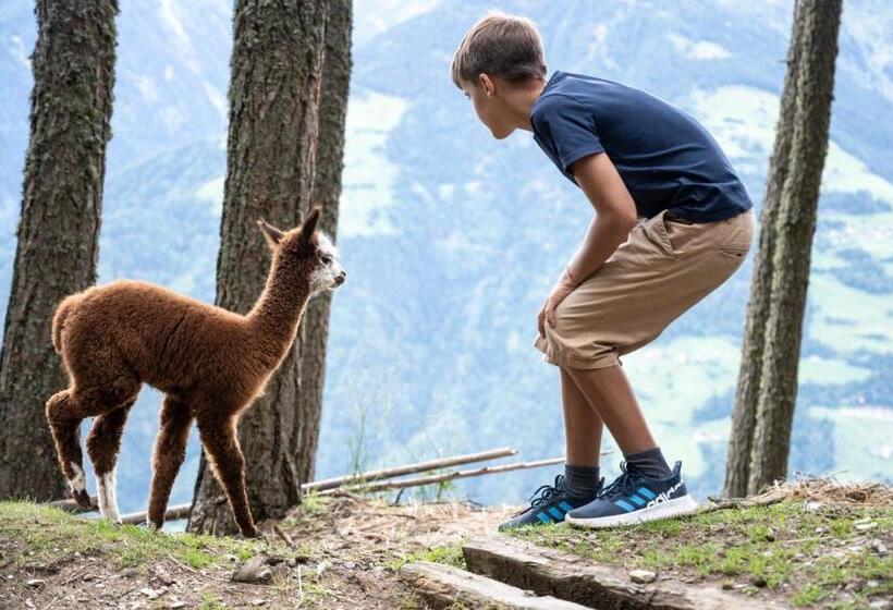 호텔 Familienalm Taser