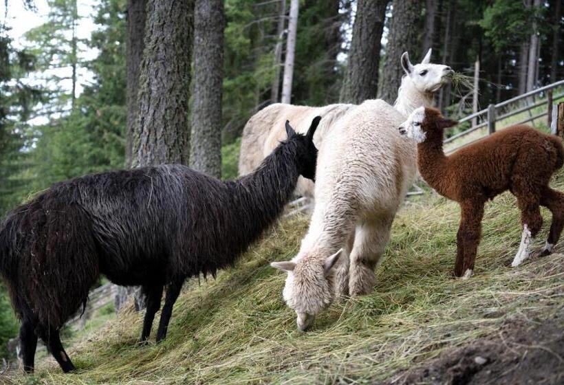 호텔 Familienalm Taser