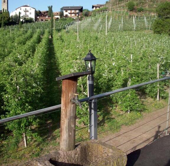 בית מלון כפרי Residence Winklgut