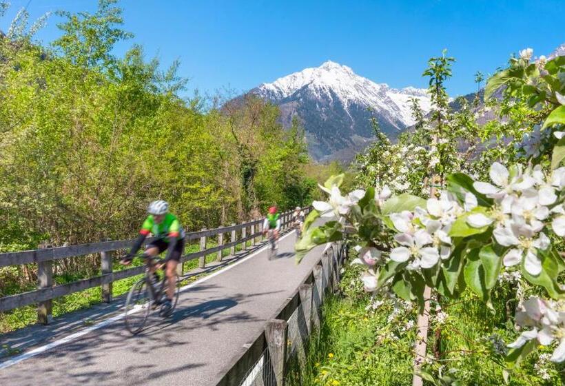 בית מלון כפרי Residence Winklgut
