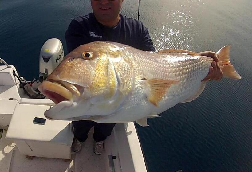 Отель La Carruba