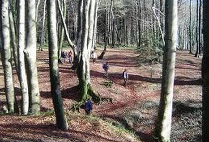 Отель La Carruba