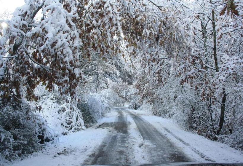 فندق Locanda San Barnaba