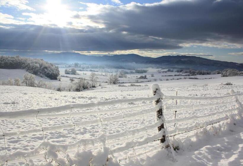 فندق Locanda San Barnaba