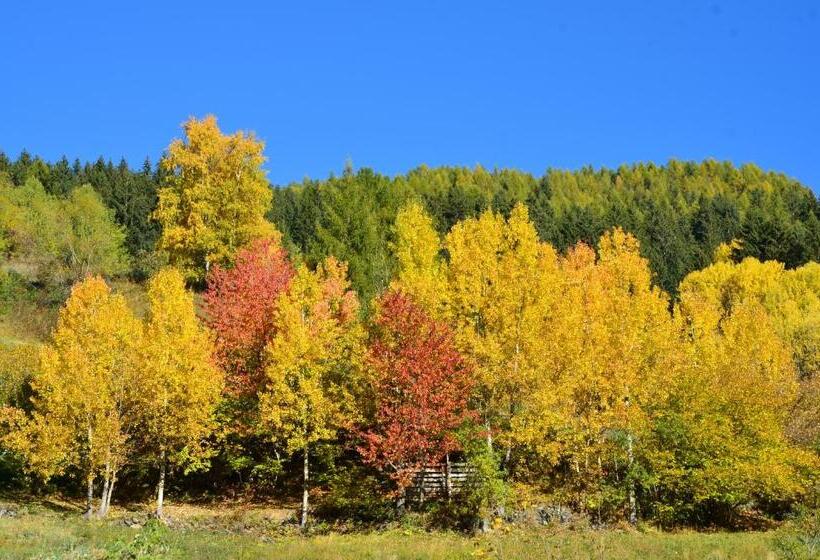 هتل Meublè Rosalpina