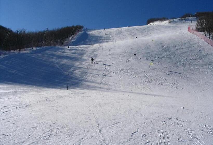 בית מלון כפרי Miravalle 2000