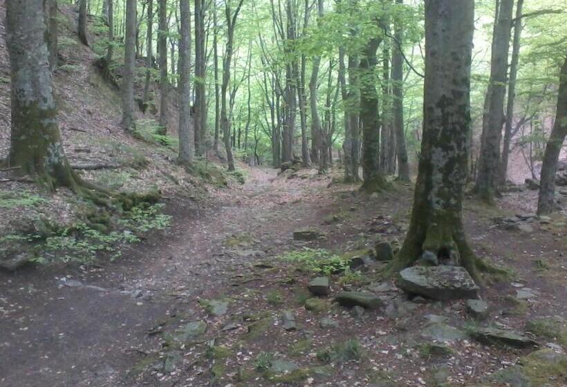 בית מלון כפרי Miravalle 2000