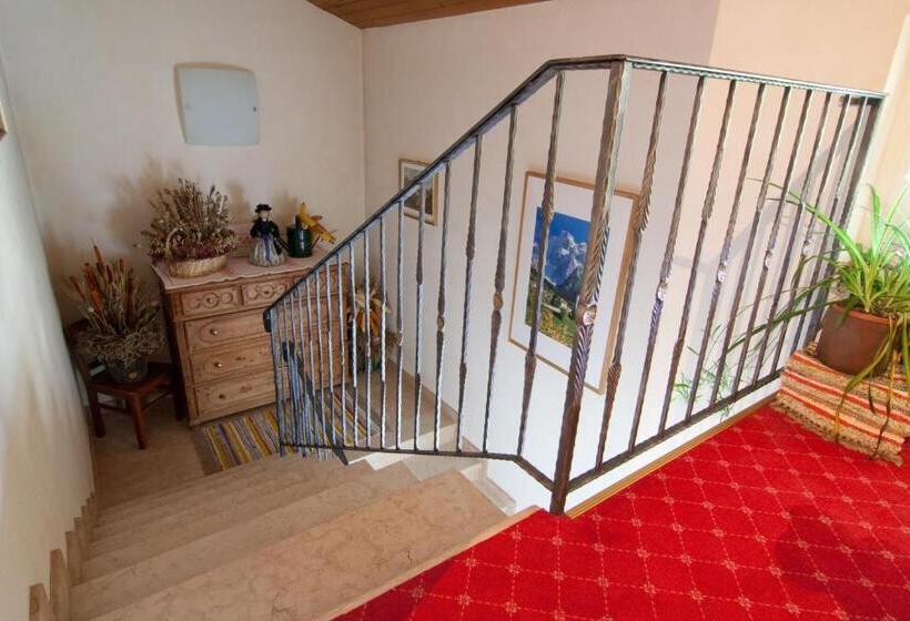 בית מלון כפרי Pension Enzian