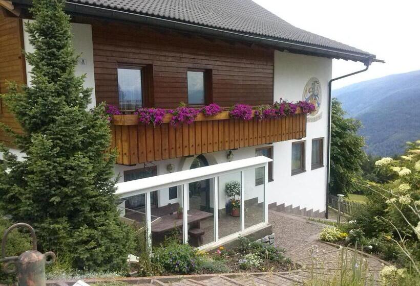 בית מלון כפרי Pension Schifferegger