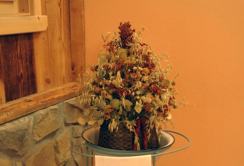 ホテル Pensione Dolomiti