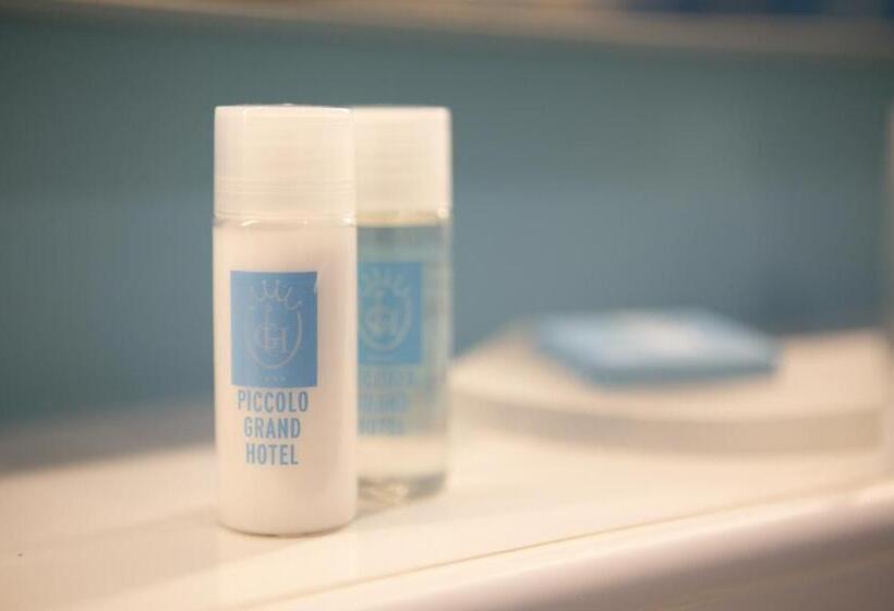 Отель Piccolo Grand