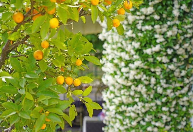 호텔 Ristorante Lepanto