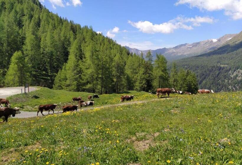 ホテル Stadel Soussun