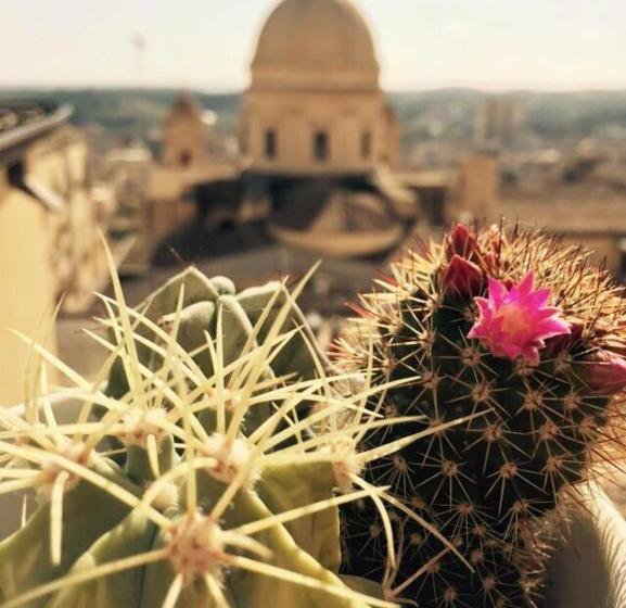 Ostello Della Gioventù   Il Castello