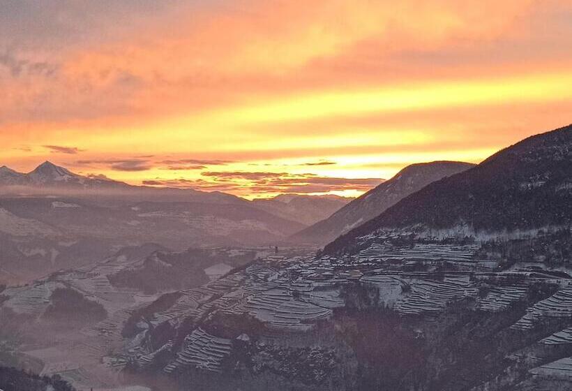 B&b Al Lupo Solitario