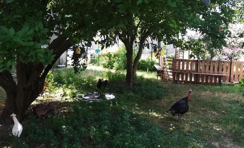 Bed and Breakfast Serendipity