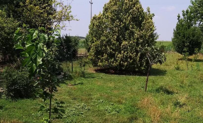 Bed and Breakfast Serendipity