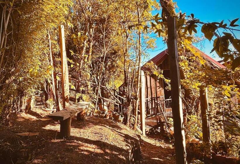 مبيت وإفطار Cabaña Palo Alto