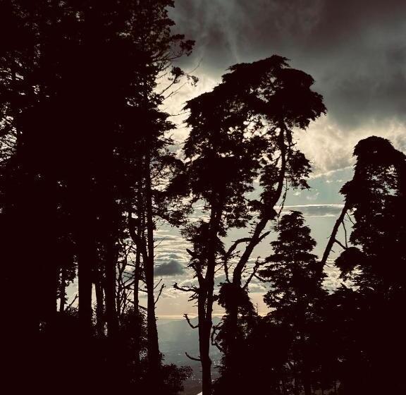 مبيت وإفطار Cabaña Palo Alto